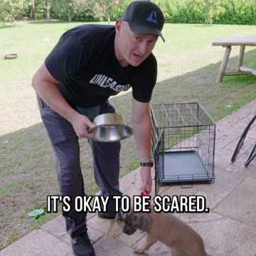 Is Your Puppy a Winner? Try These 3 Tests to Find Out!