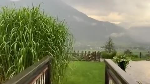 Beautiful nature