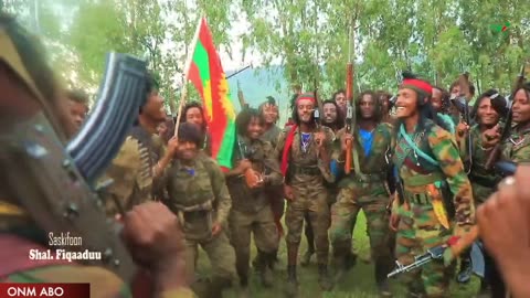 Qophii Arraata Biyyoolessa Oromiyaa Adoolessa 29, 2023