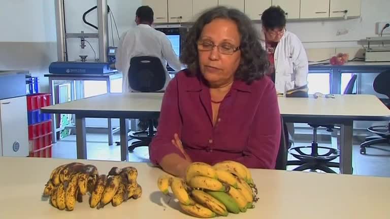 Israeli researchers use gene to extend shelf life of bananas