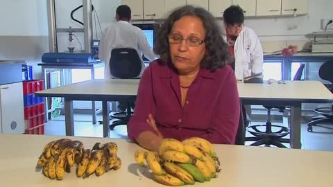 Israeli researchers use gene to extend shelf life of bananas