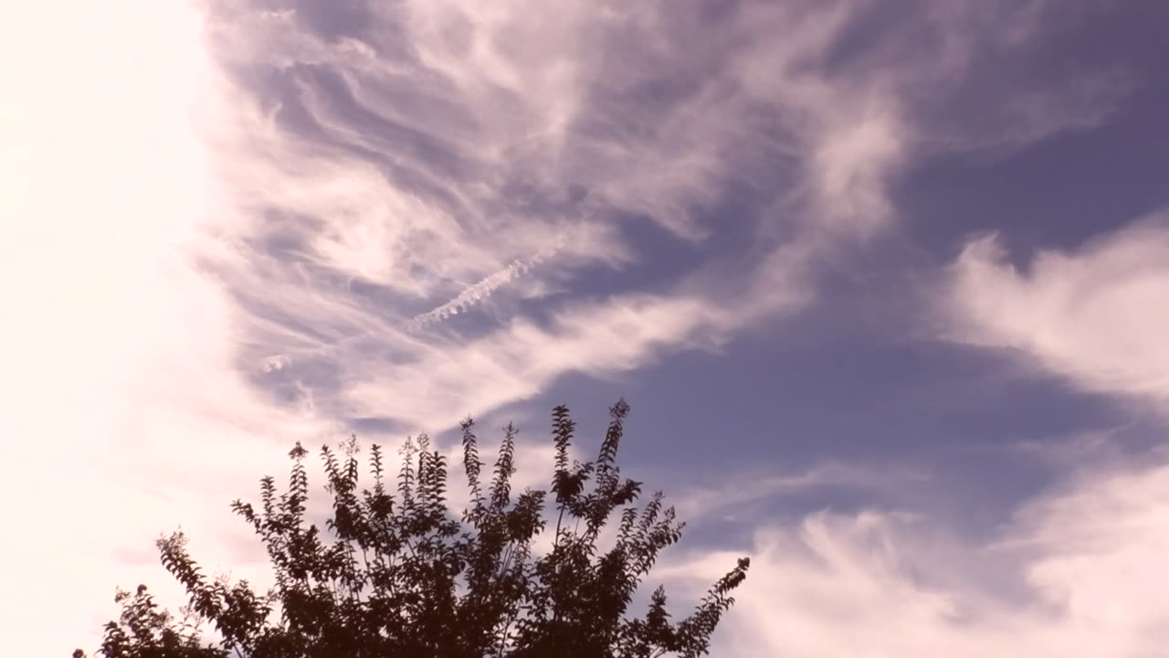 Insane Artificial Clouds Over Long Beach Nov. 1, 2024