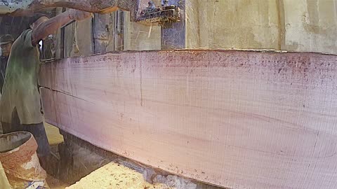 satisfying process of sawing red mahogany wood