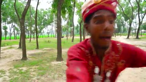Funny videos