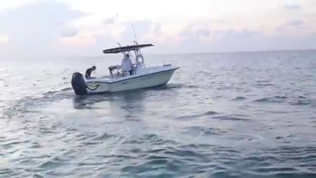 Last to leave $800000 island keep it