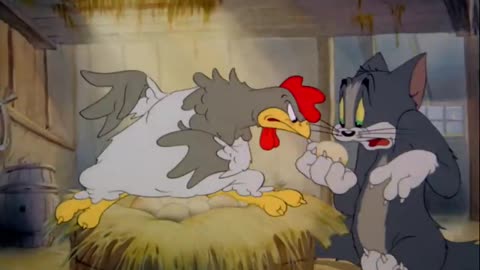 Tom and Jerry - Fine Feathered Friend