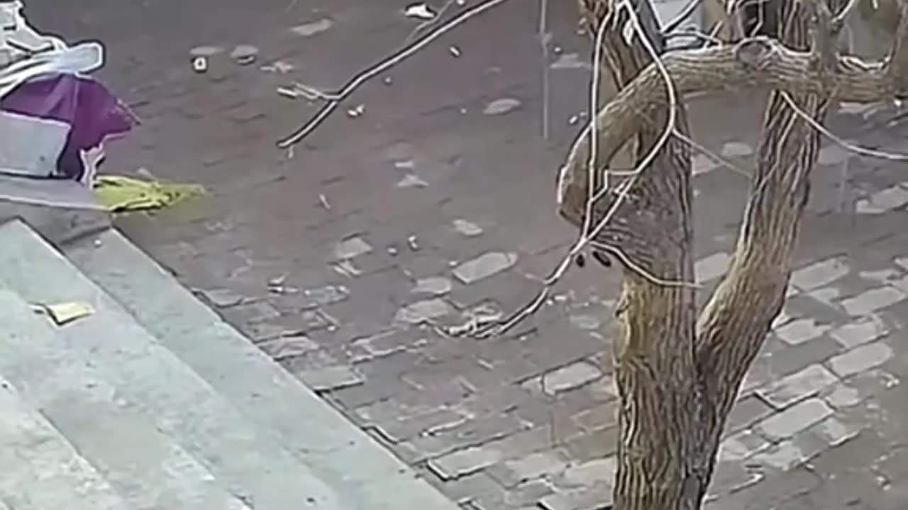 Enjoy carefully