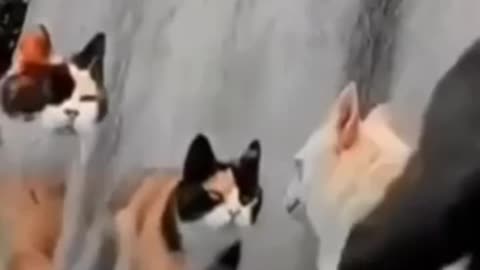 No One Cared About Him 🥹