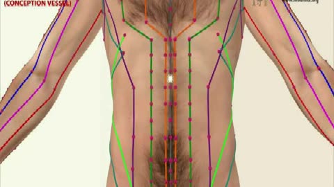 Understanding the Yin Yang Phlows: Governing and Conception Vessel