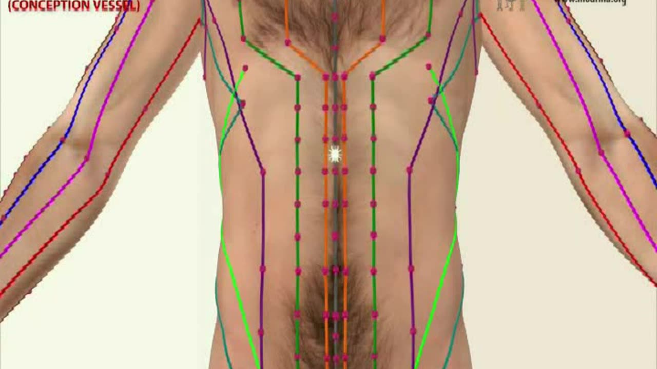 Understanding the Yin Yang Phlows: Governing and Conception Vessel