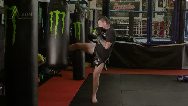 Free Lesson w/ John Wayne Parr! Shin Conditioning