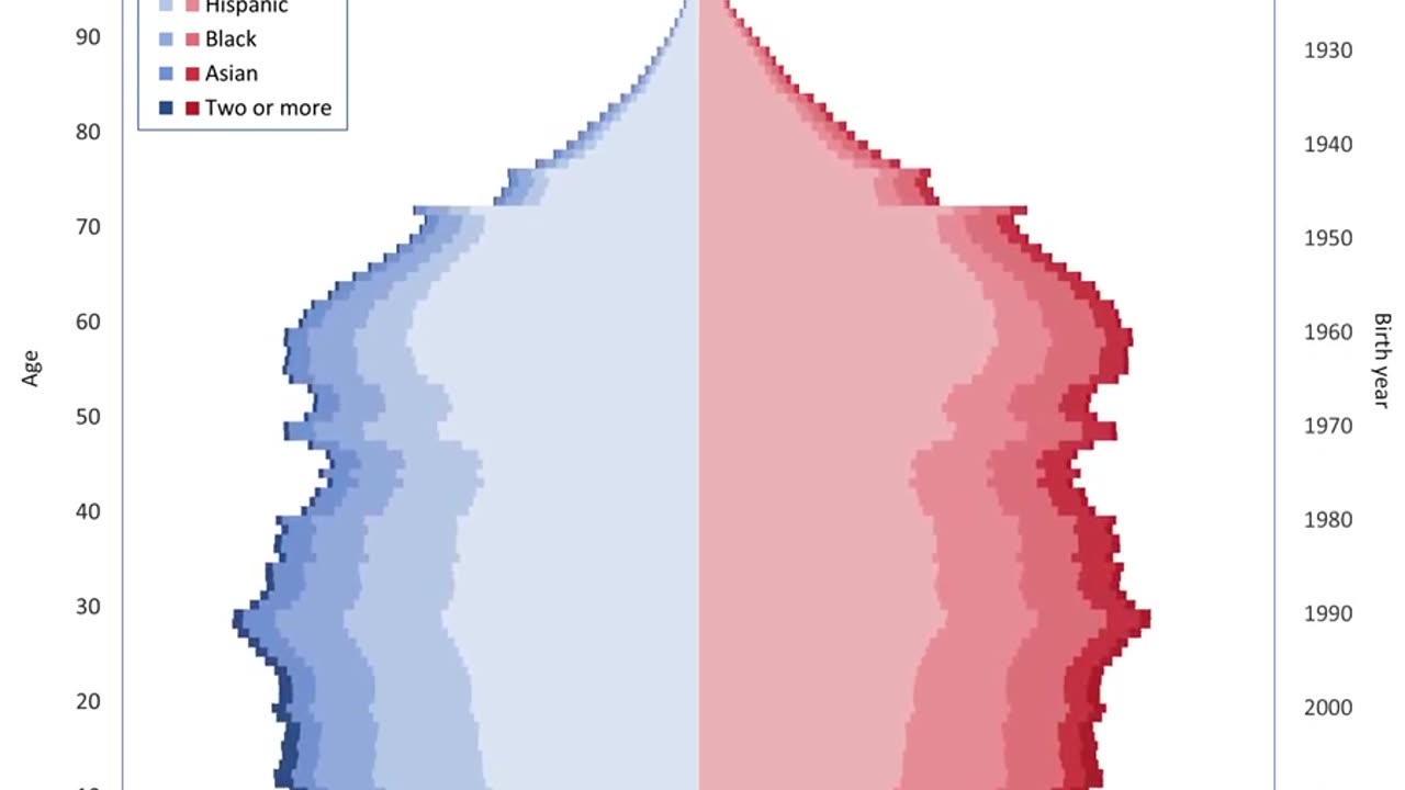 The Great Replacement Data Visualized