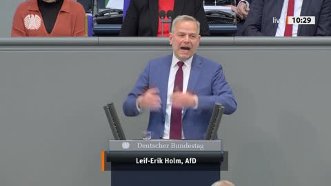 Leif-Erik Holm Rede vom 25.11.2022 - Wirtschaft und Klimaschutz