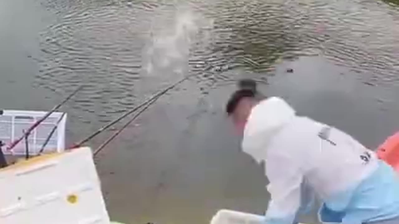 Why did he do that?! Feed'n the fish!!
