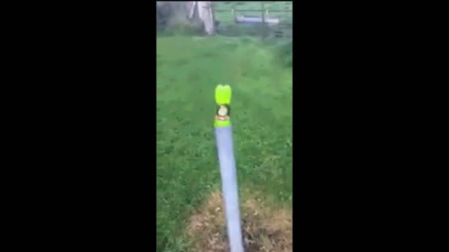 Gif video of bottle by the pipe