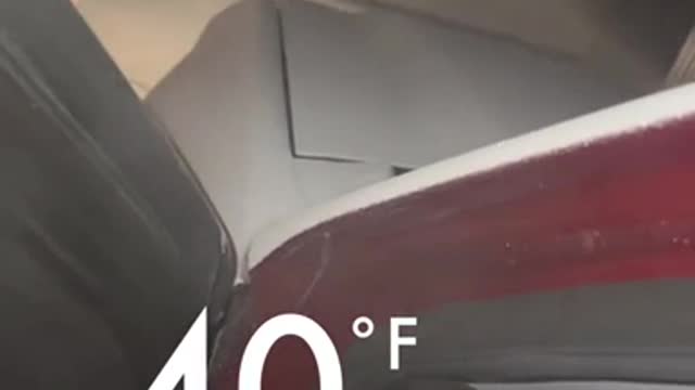 2 Days of sitting in -40. She wasn't happy…