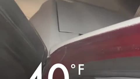 2 Days of sitting in -40. She wasn't happy…