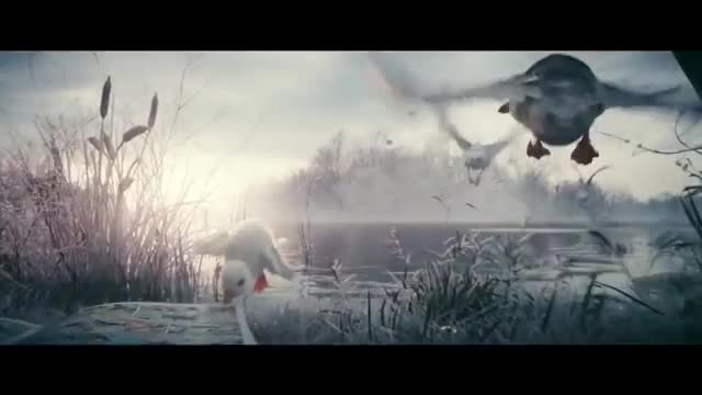 2018 The Little Duck - Disneyland Paris commercial_Cut