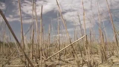 Das verbotene Wissen über Wasser - Die geheime Macht des Wassers