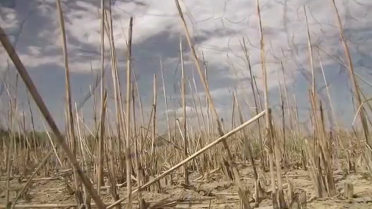 Das verbotene Wissen über Wasser - Die geheime Macht des Wassers