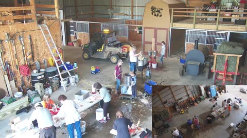 Does Raising Meat Birds Profit the Homestead?