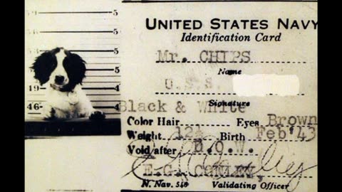 'NIGHT Moves' || Faith Overcomes ALL | Q News Corner