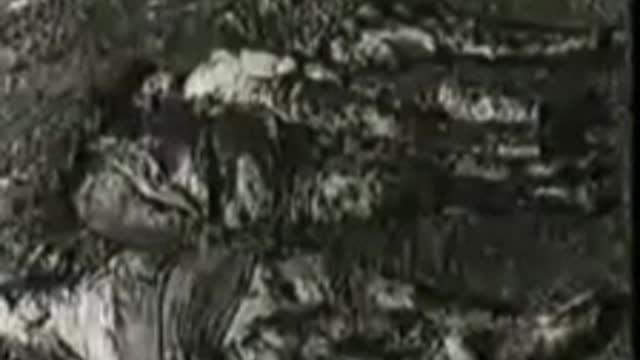 Un vero orrore quasi impossibile da vedere , una vergogna ..