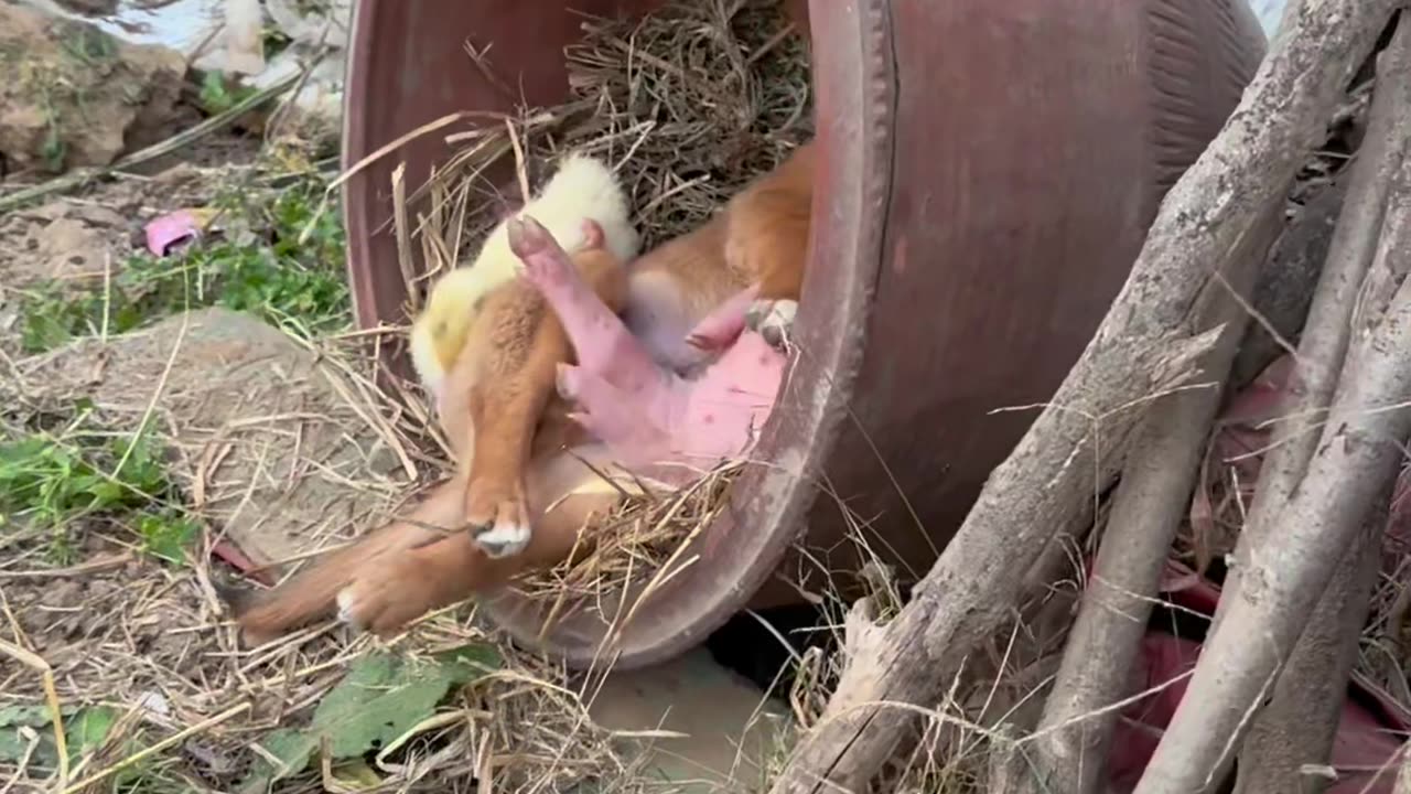 Sleeping time