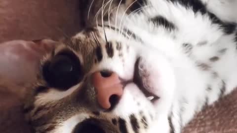 Her eyes captured my soul
