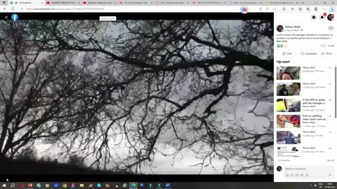 Sean's Story of his horses 05-06-23