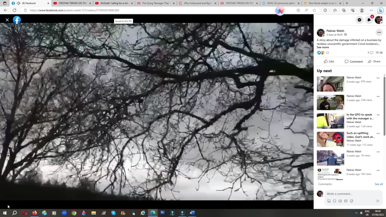 Sean's Story of his horses 05-06-23