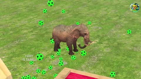Long Slide Game With Elephant Gorilla Buffalo Hippopotamus Tiger - 3d Animal Game - Funny 3d Animals