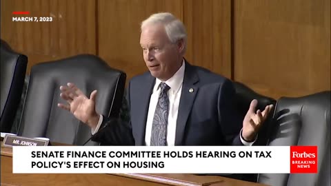 'Put That In Dollar Terms'- Ron Johnson Questions Witness On Dem-Backed Policy