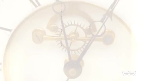 2000 Felons & Zero Justice