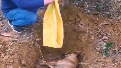 Such an empathetic dog! 😭 | Dog feelings are real.