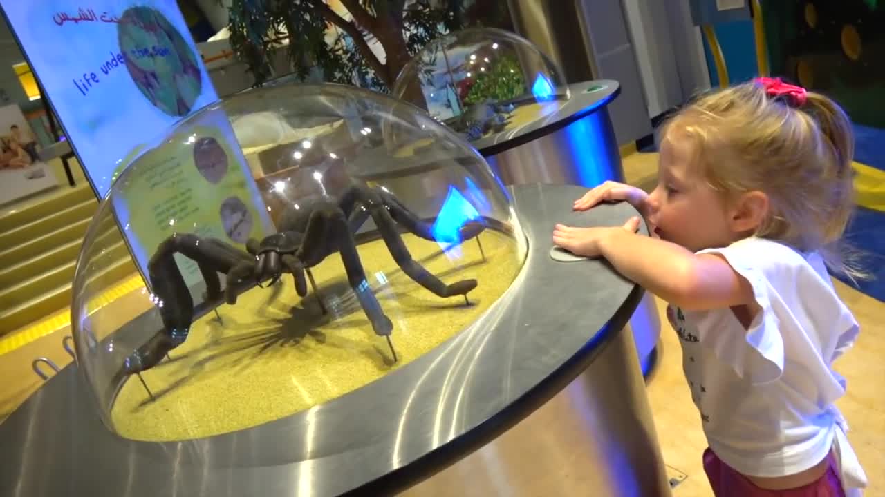 The Best Outdoor and Indoor Playgrounds for kids