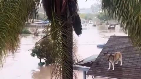 San Diego Flooded