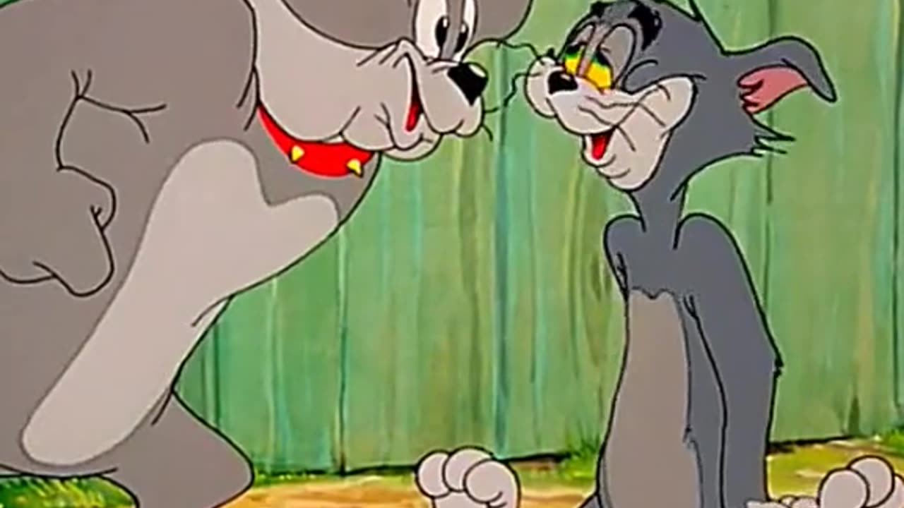 tomandjerry