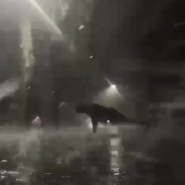 You Have to be Putting Willing to put in the work, No easy SHIT