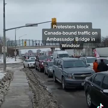 Freedom Convoy Blocks Ambassador Bridge Windsor/Detroit