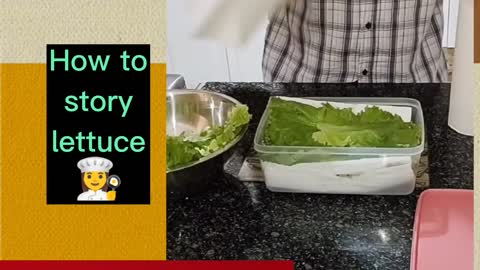 how to store lettuce correctly