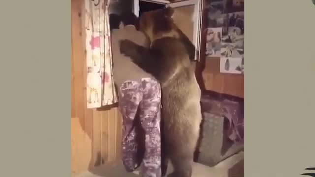 Funniest Animals Moments 2020 Collection