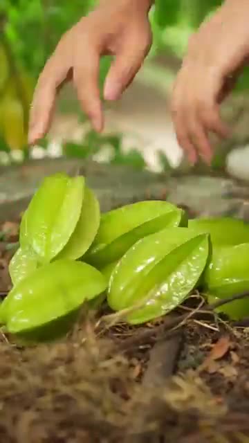 enjoy amazing fruits of china