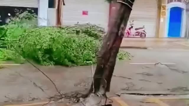 Stores and residential residents were destroyed in the strong winds