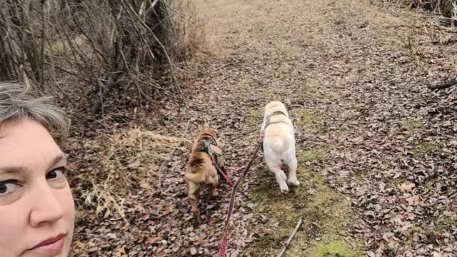 Aurora & Tindrah's ITDC Task 5