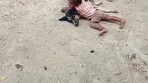 Dogs & children frands