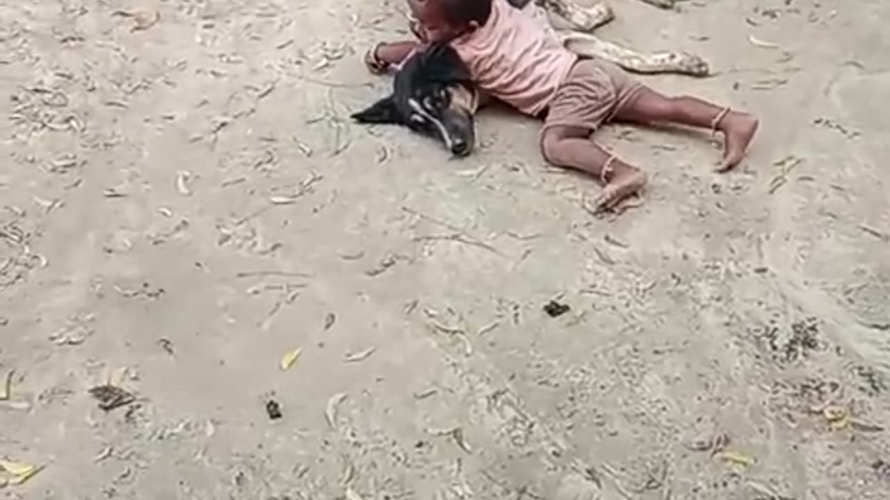 Dogs & children frands