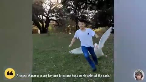 Birds and kids funny reaction