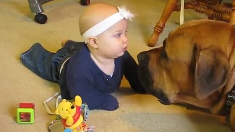 Funny Dog and baby videos😀😀 it's time to laugh with dog's life