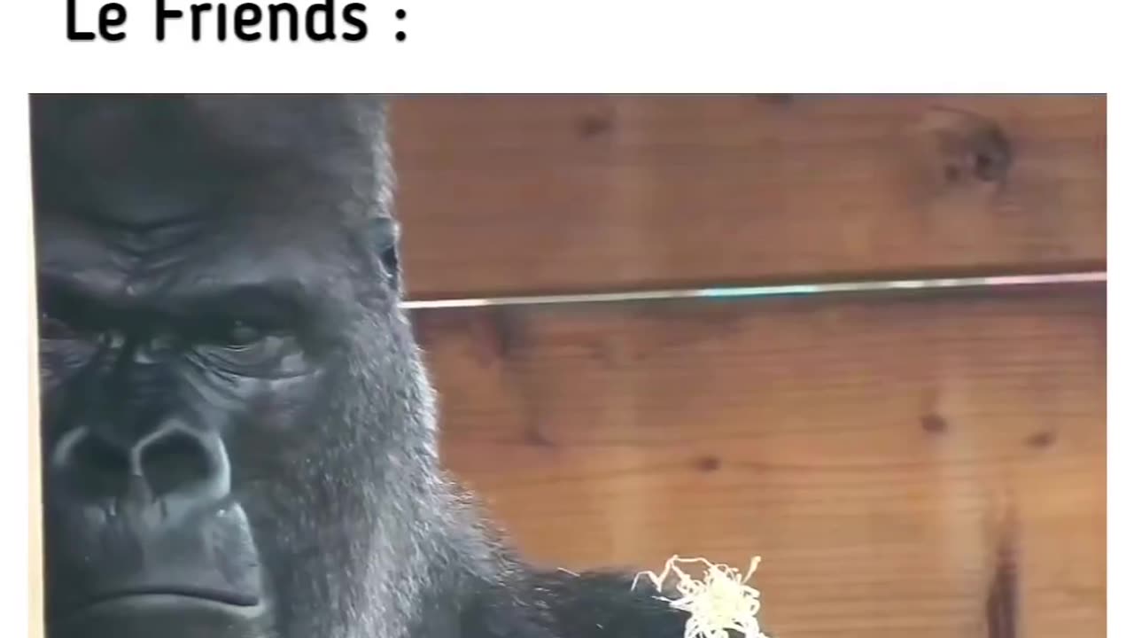 Funny video 😂😂